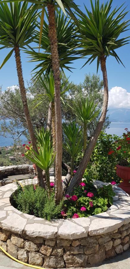 Agios Spyridon  Margherita'S Holidays Home מראה חיצוני תמונה
